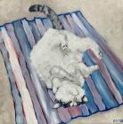 Прикрепленное изображение: Ekw4e6LJUbM_hf.jpg