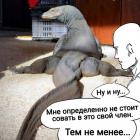 Прикрепленное изображение: IMG_20240424_144853_614.jpg