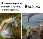 Прикрепленное изображение: Начало карьеры и сейчас.jpg