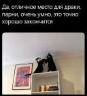 Прикрепленное изображение: Место для драки.jpg