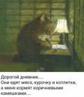 Прикрепленное изображение: Дорогой дневник.jpg