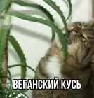 Прикрепленное изображение: 09.jpg