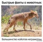 Прикрепленное изображение: 1717406413.jpg