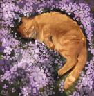 Прикрепленное изображение: otmp2eaYD5c.jpg