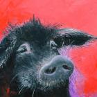 Прикрепленное изображение: percival-the-black-pig-jan-matson.jpg