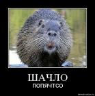 Прикрепленное изображение: post-1498-0-68006500-1428674722.jpg