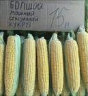 Прикрепленное изображение: стартап Гробика.jpg