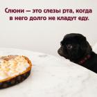 Прикрепленное изображение: Слезы рта.jpg