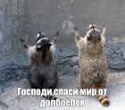 Прикрепленное изображение: Господи, спаси мир от долбоёбов.jpg
