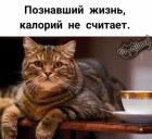 Прикрепленное изображение: Познавший жизнь.jpg