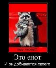 Прикрепленное изображение: Енот добивается своего_eto-enot.jpg