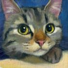 Прикрепленное изображение: HfPXb2AvoELxyu.jpg