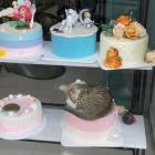 Прикрепленное изображение: Котик в кондитерской.jpg