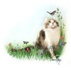 Прикрепленное изображение: 5wbh3YzDOu3v1SUJPn-0iBUe4Ew6a0RANyvaCTvZdiBG905HPSy9wYXYnfhsKrZ.jpg