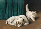 Прикрепленное изображение: Артур Хейер. Бульдог и персидский кот.jpg