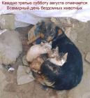 Прикрепленное изображение: 1755314018.jpg