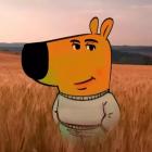 Прикрепленное изображение: sd.jpg