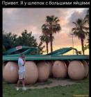 Прикрепленное изображение: nh_qIWlq7wHCbi8hsuk6Dbl5NV_wU8TCwq5vIR5ucrmmPqkJKPU44pf1BC-KkR0wcbG1Ae28O9PAlSIAarvxfYfq.jpg