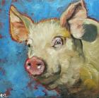 Прикрепленное изображение: Pig11.jpg