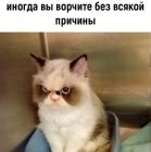 Прикрепленное изображение: 06.jpg