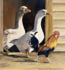 Прикрепленное изображение: 9547244b78df35e7074ac33922f71ae7.jpg