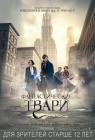Прикрепленное изображение: Fantastic_Beasts_and_Where_to_Find_Them_poster.jpg