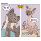 Прикрепленное изображение: Два типа котов.jpg