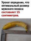 Прикрепленное изображение: Размер пениса 1.jpg