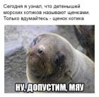 Прикрепленное изображение: 1731968155.jpg