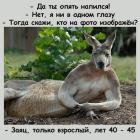 Прикрепленное изображение: 465255830_550588837897708_5290020428839668453_n.jpg