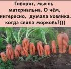 Прикрепленное изображение: 468399678_569933402629918_3297337173797608080_n.jpg