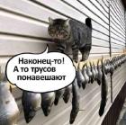 Прикрепленное изображение: 465550076_2912431385604219_3147304141497406994_n.jpg