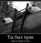 Прикрепленное изображение: 465126033_2309631326071022_4156799118894951551_n.jpg