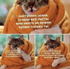 Прикрепленное изображение: 466968357_3391458610989093_7190094171595519797_n.jpg