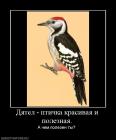 Прикрепленное изображение: Дятел-1.jpg