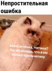 Прикрепленное изображение: Непростительная ошибка.jpg