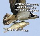 Прикрепленное изображение: 1733491715.jpg