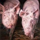 Прикрепленное изображение: 220-0b3b4.jpg