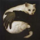 Прикрепленное изображение: tumblr_89174897578da470a5950046483f51a8_4e97f554_1280.jpg