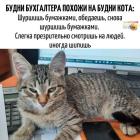 Прикрепленное изображение: Будни бухгалтера.jpg